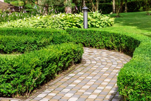 Paved Landscaping in Lewes