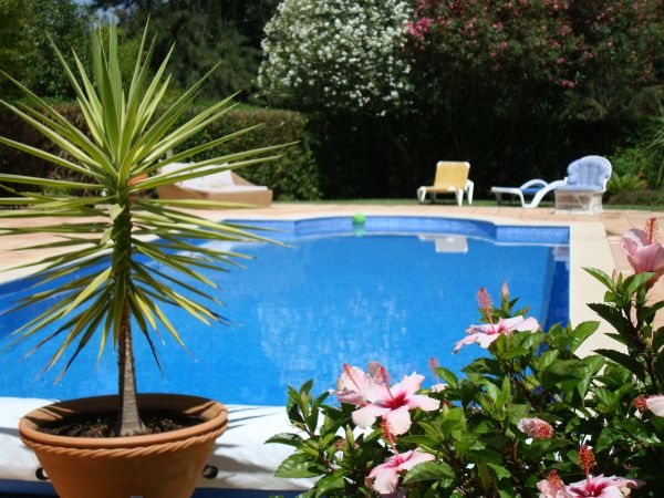Pool Terrace Renovation in Lewes