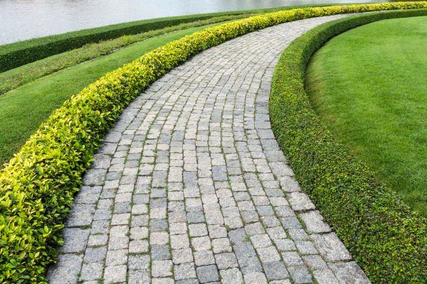 Sidewalk Pavers Installation in Lewes